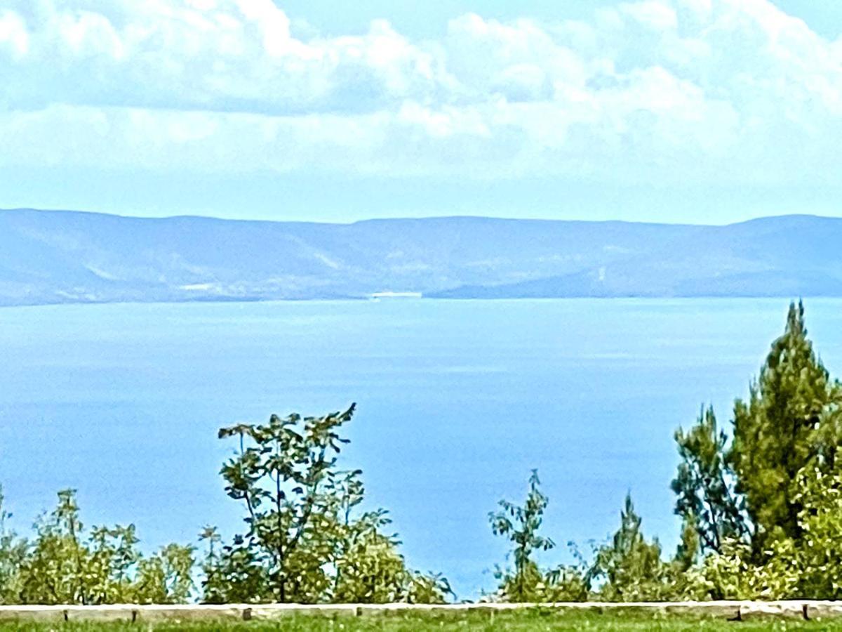 Luxury Panorama Vila With Amazing Seaview In Gondolici 7 Km From Rabac Лабин Екстер'єр фото